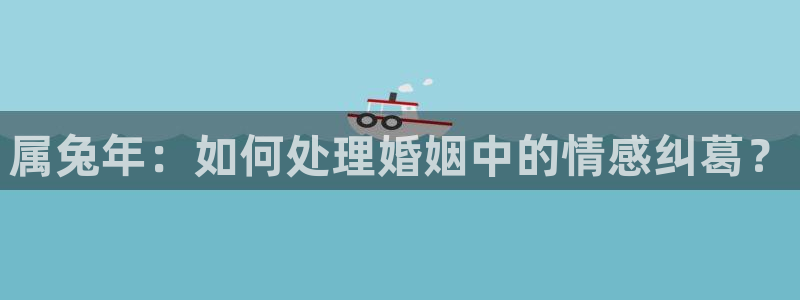 旺财28平台注册：属兔年：如何处理婚姻中的情感纠葛？