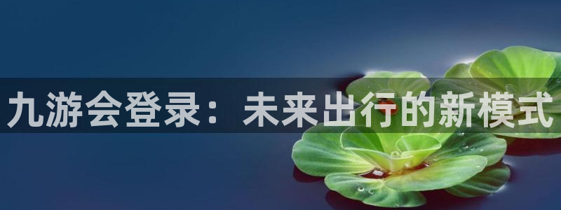 旺财28体育免费注册入口：九游会登录：未来出行的新模式