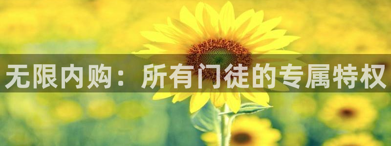 旺财28招商：无限内购：所有门徒的专属特权