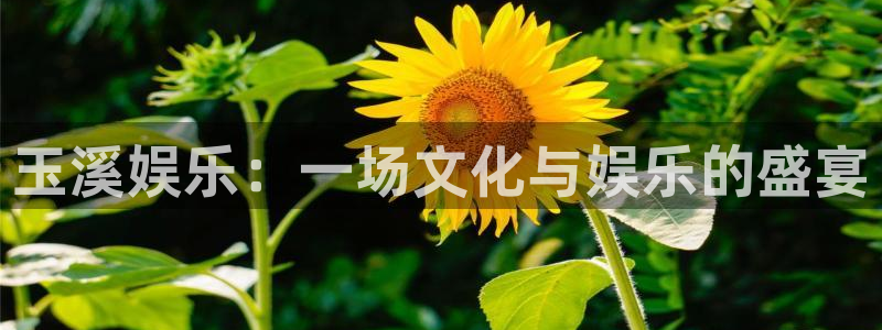 旺财284平台：玉溪娱乐：一场文化与娱乐的盛宴
