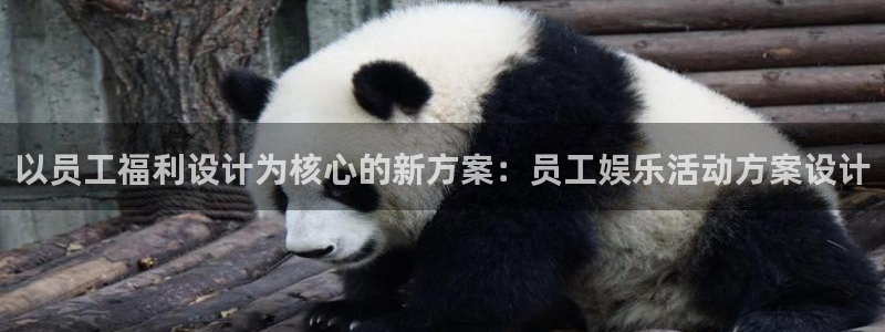 旺财28体育注册登录入口：以员工福利设计为核心的新方案：员工娱乐活动方案设计