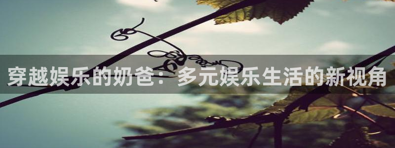 旺财28凯捷注册：穿越娱乐的奶爸：多元娱乐生活的新视角