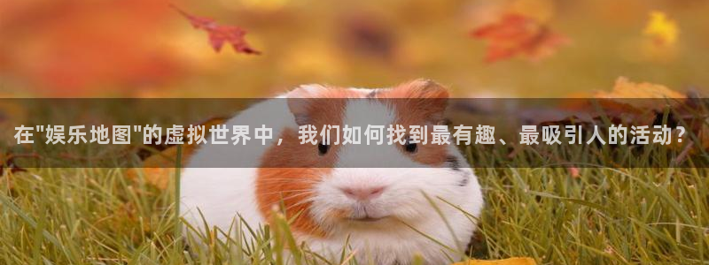 旺财28主管：在\