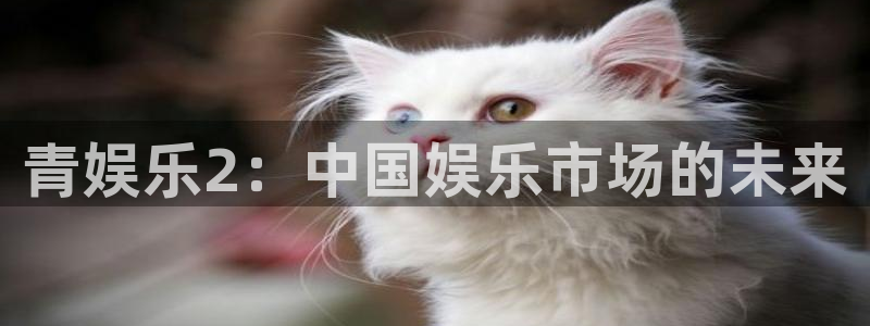 旺财28集团总部：青娱乐2：中国娱乐市场的未来