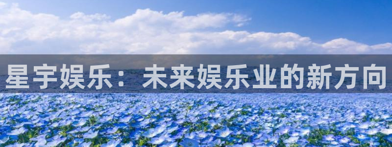 旺财285招商