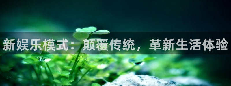 旺财284注册：新娱乐模式：颠覆传统，革新生活体验