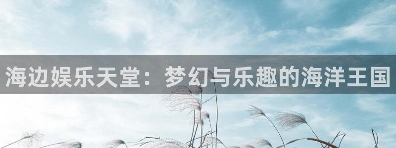 旺财28凯捷开号链接：海边娱乐天堂：梦幻与乐趣的海洋王国