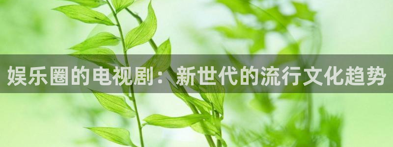 旺财28：娱乐圈的电视剧：新世代的流行文化趋势