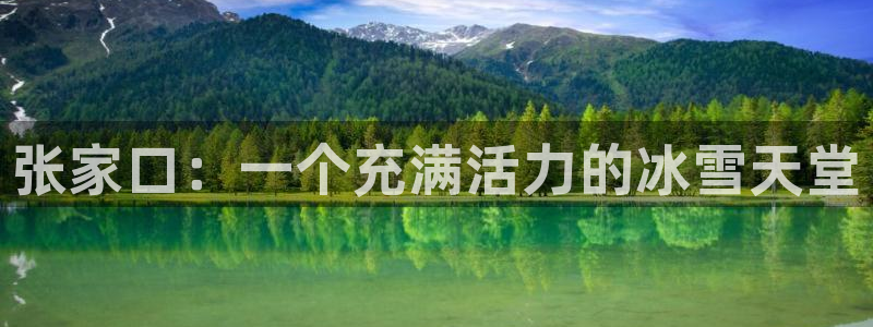 旺财28体育官网