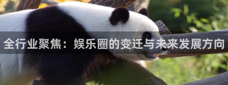 旺财28