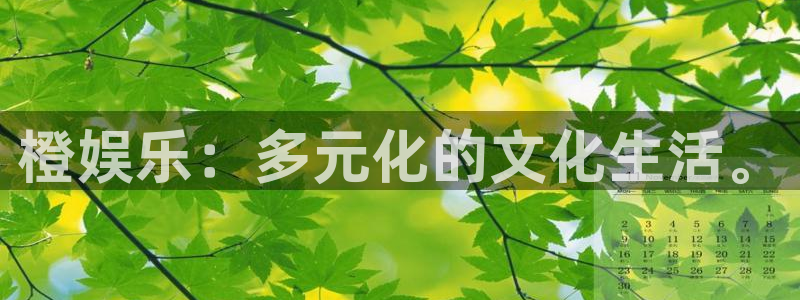 旺财28体育app下载：橙娱乐：多元化的文化生活。