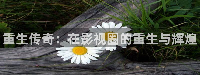旺财28平台注册：重生传奇：在影视圈的重生与辉煌