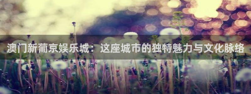旺财28体育注册登录入口：澳门新葡京娱乐城：这座城市的独特魅力与文化脉络