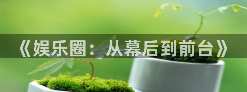 旺财285：《娱乐圈：从幕后到前台》