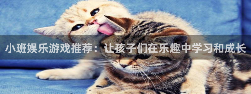 旺财28体育老板是谁：小班娱乐游戏推荐：让孩子们在乐趣中学习和成长