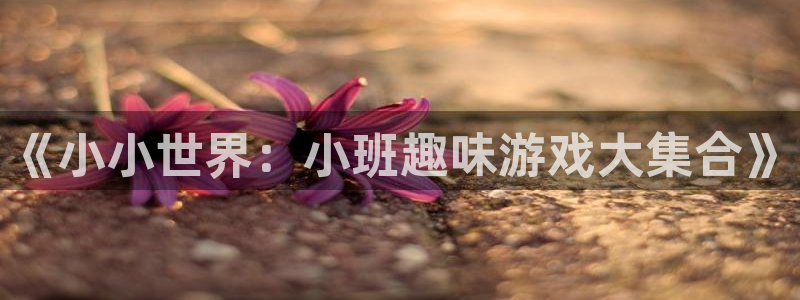 旺财28平台开户：《小小世界：小班趣味游戏大集合》