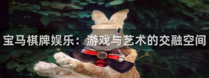 旺财28代理注册官网入口：宝马棋牌娱乐：游戏与艺术的交融空间