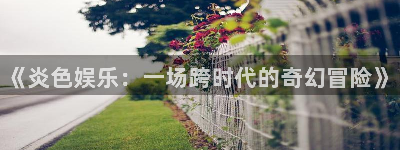 旺财28体育注册登录入口：《炎色娱乐：一场跨时代的奇幻冒险》