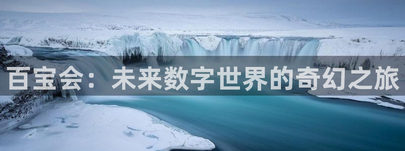 旺财28集团总部：百宝会：未来数字世界的奇幻之旅
