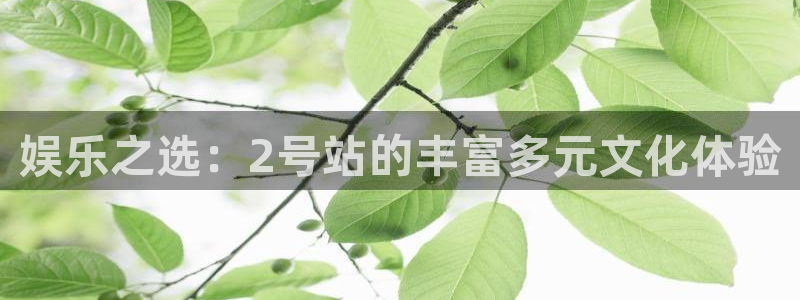 旺财283官网：娱乐之选：2号站的丰富多元文化体验
