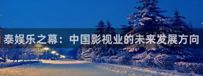 旺财28主管：泰娱乐之幕：中国影视业的未来发展方向