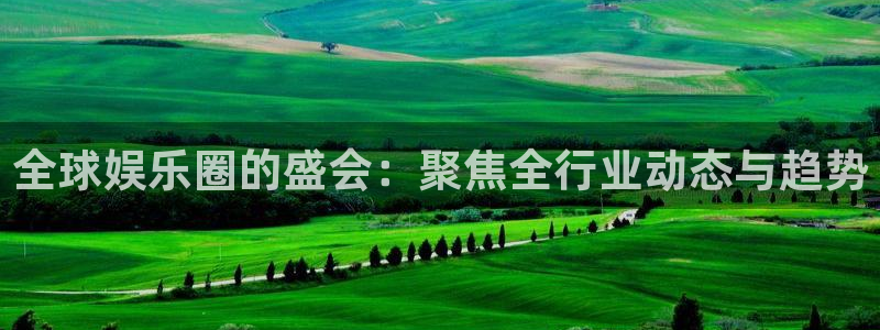 旺财28主管：全球娱乐圈的盛会：聚焦全行业动态与趋势