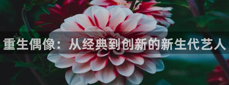 旺财28体育注册：重生偶像：从经典到创新的新生代艺人