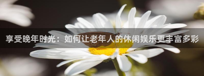 旺财28零能源集团：享受晚年时光：如何让老年人的休闲娱乐更丰富多彩