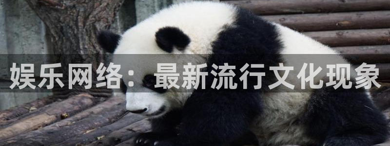 旺财28体育凯捷平台招商：娱乐网络：最新流行文化现象