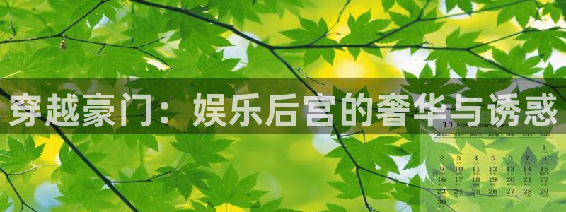 旺财283登录：穿越豪门：娱乐后宫的奢华与诱惑