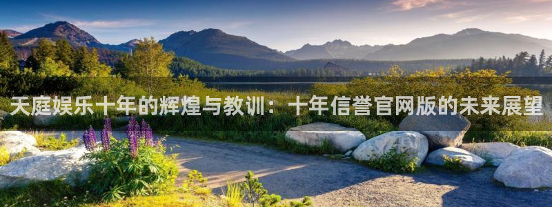 旺财284：天庭娱乐十年的辉煌与教训：十年信誉官网版的未来展望